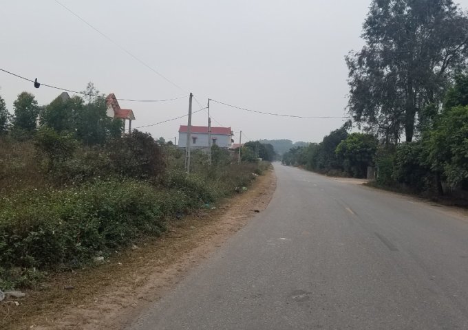 Bán đất Mặt tiền Ql37 X.Lê Lợi, Chí Linh, Hải Dương – Đất đẹp, giá tốt