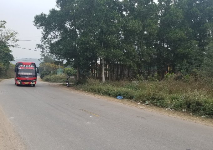 Bán đất Mặt tiền Ql37 X.Lê Lợi, Chí Linh, Hải Dương – Đất đẹp, giá tốt