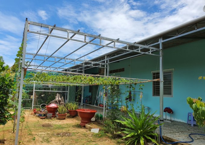 Chính Chủ Cần Bán Lô Đất Đẹp Tại Ấp  Bến Tràm - xã Cửa Dương - Tp. Phú Quốc - Tỉnh Kiên Giang