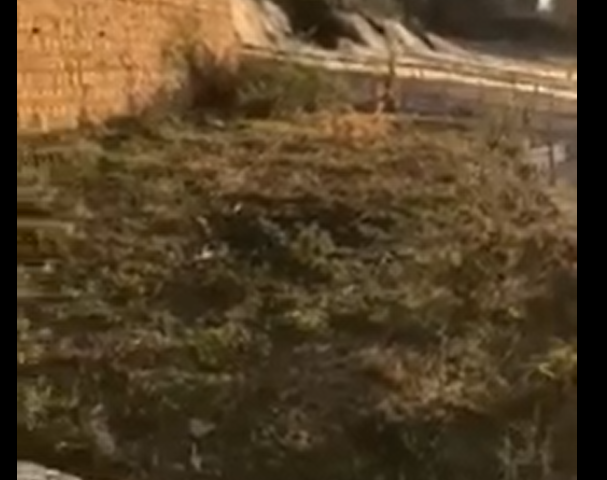 Bán đất trung tâm thành phố Đà Lạt