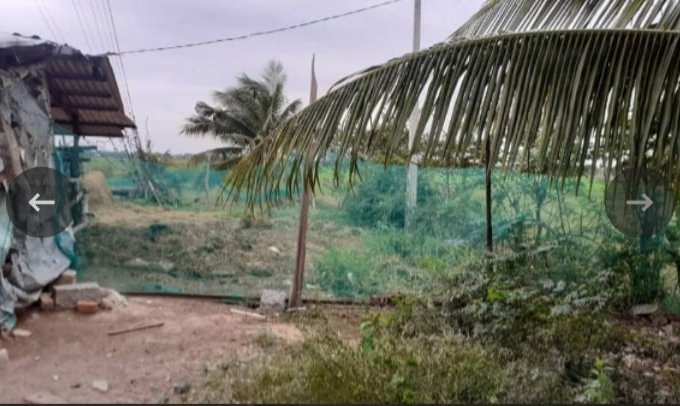 Bán Đất mặt tiền DT7,Ninh Thọ