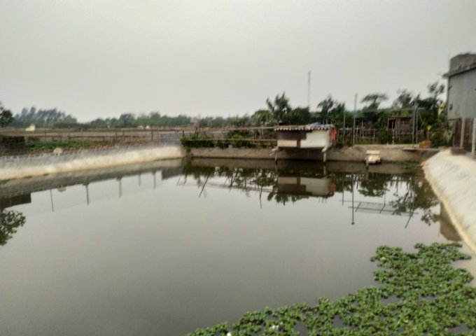 CHÍNH CHỦ CẦN BÁN ĐẤT TRANG TRẠI 313 MÔ HÌNH NHÀ-VƯỜN-AO-CÂY ĂN QUẢ TẠI YÊN MÔ NINH BÌNH_LIÊN HỆ: 0899962333