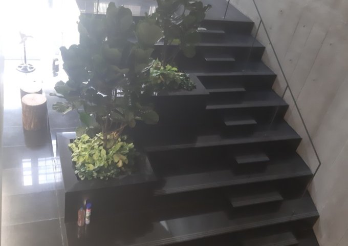 Cho thuê sàn văn phòng, 62 Tân Canh, P01, Quận Tân Bình, giá tốt.