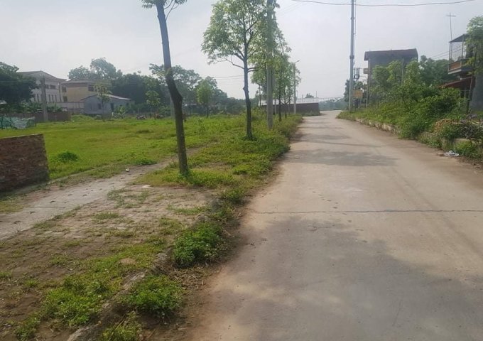 Đất ở tại thôn Đoài Giáp, xã Đường Lâm, thị xã Sơn Tây, TP Hà Nội.