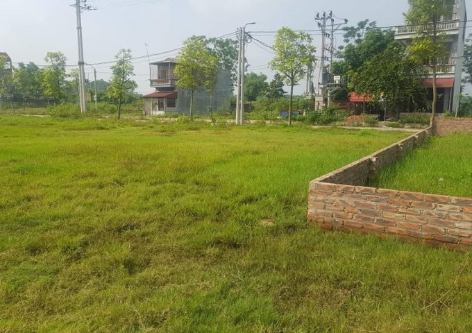 Đất ở tại thôn Đoài Giáp, xã Đường Lâm, thị xã Sơn Tây, TP Hà Nội.