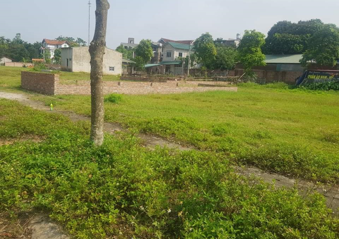 Đất ở tại thôn Đoài Giáp, xã Đường Lâm, thị xã Sơn Tây, TP Hà Nội.