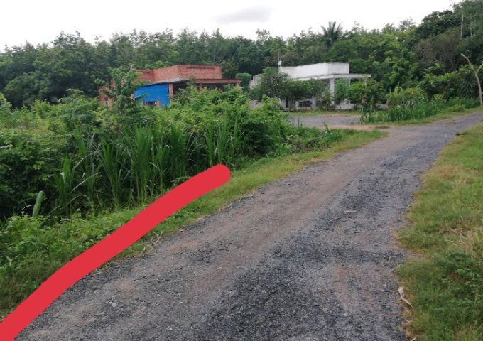 CHÍNH CHỦ CẦN BÁN 3 LÔ ĐẤT GIÁ CÔNG NHÂN CHO ANH EM MUA Ở, ĐẦU TƯ CHỈ VỚI 250TRIỆU /LÔ TẠI ẤP RỘC A, THẠNH ĐỨC , GÒ DẦU, TÂY NINH