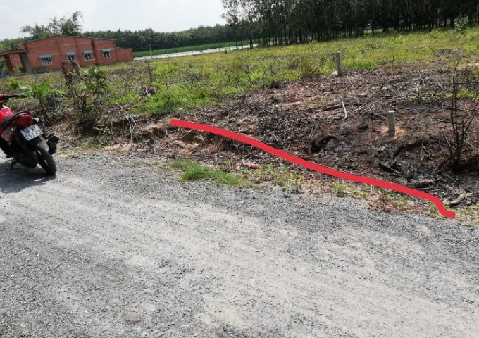 CHÍNH CHỦ CẦN BÁN 3 LÔ ĐẤT GIÁ CÔNG NHÂN CHO ANH EM MUA Ở, ĐẦU TƯ CHỈ VỚI 250TRIỆU /LÔ TẠI ẤP RỘC A, THẠNH ĐỨC , GÒ DẦU, TÂY NINH