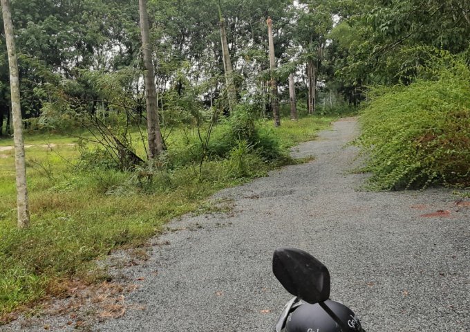 Chính Chủ Cần Bán Lô Đất Đẹp Tại Ấp 9 - Xã Minh Hưng - Huyện Chơn Thành - Tỉnh Bình Phước .