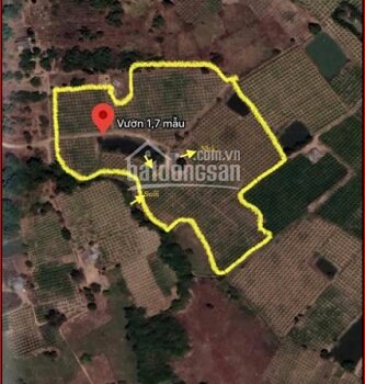 Chính chủ cần bán 2 trang trại Xã Hàm Minh, huyện Hàm Thuận Nam, tỉnh Bình Thuận