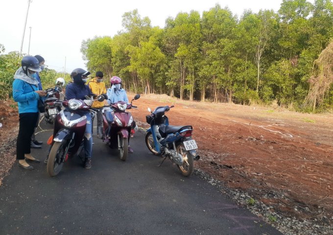 Bán đất gần KCN Đất Đỏ , cách QL 55 chỉ 200m  Bà Rịa Vũng Tàu  giá 650 Triệu