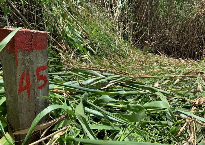 ĐẤT QUẬN CÁI RĂNG 114M² GẦN SIÊU THỊ DỰ MỞ