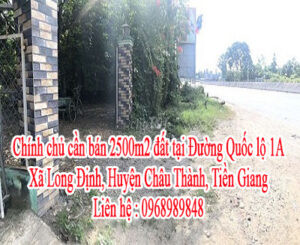 Chính chủ cần bán đất tại Đường Quốc lộ 1A, Xã Long Định, Huyện Châu Thành, Tiền Giang