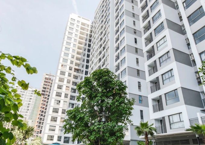 Căn hộ 1 Phòng ngủ Botanica Premier 50m2, Full nội thất đẹp, Giá 13.5Tr (bao phí)