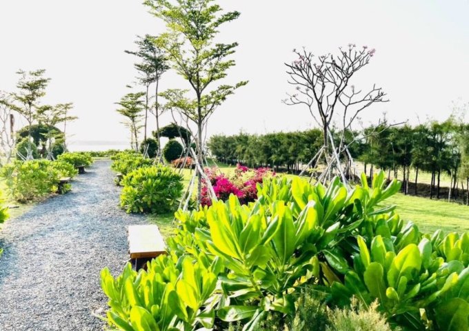 HÓT HÓT HÓT !! MỞ BÁN DỰ ÁN ĐẤT NỀN HIỆP PHƯỚC HARBOUR VIEW - ĐÃ CÓ SỔ - GIÁ CHỈ 1,49 TỶ/NỀN