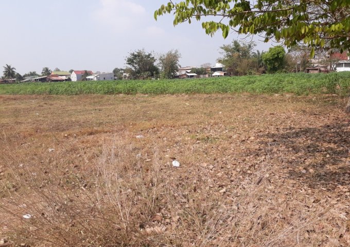 BÁN ĐẤT ẤP BÀU CÔNG , XÃ TÂN MỸ, H. ĐỨC HÒA, LONG AN - KHU VINHOME 900 HA (Đang triển khai)