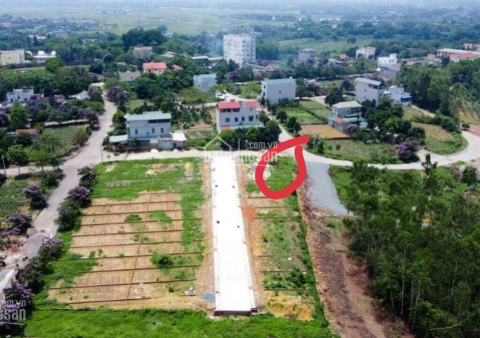 Cần bán đất thổ cư tại khu TĐC nông lâm Phú Cát, Quốc Oai, HN, gía đầu tư