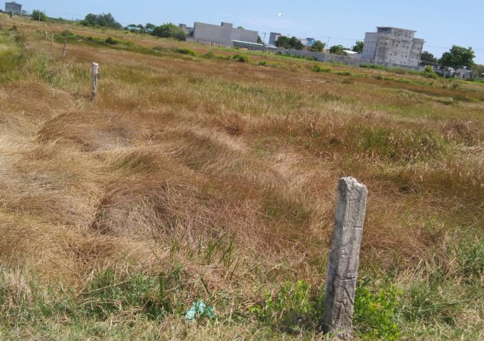 CHÍNH CHỦ BÁN ĐẤT TẠI XÃ LÝ NHƠN - HUYỆN CẦN GIỜ - TP.HỒ CHÍ MINH