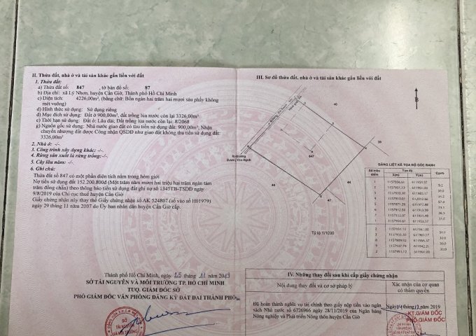 CHÍNH CHỦ BÁN ĐẤT TẠI XÃ LÝ NHƠN - HUYỆN CẦN GIỜ - TP.HỒ CHÍ MINH