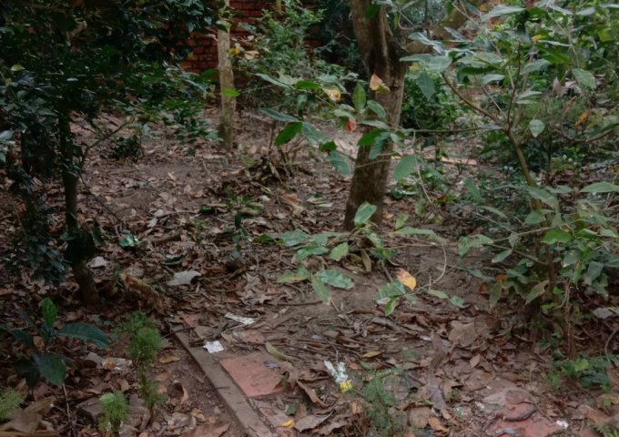 BÁN NỀN NHÀ LẤP VÒ, ĐỒNG THÁP