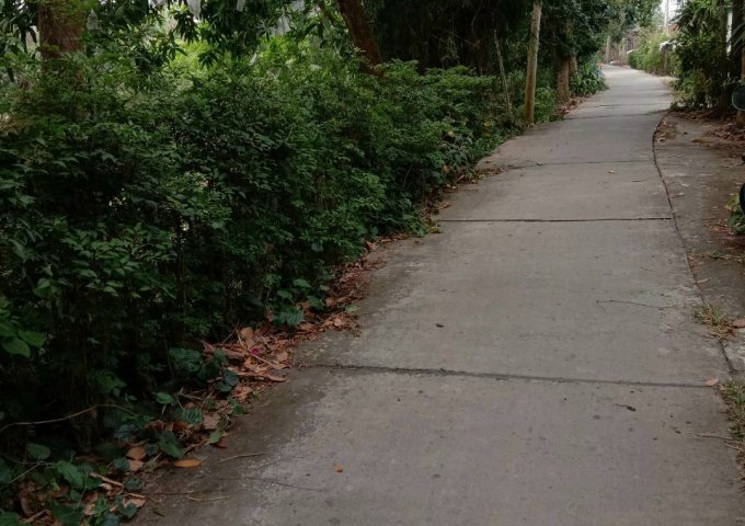 BÁN NỀN NHÀ LẤP VÒ, ĐỒNG THÁP