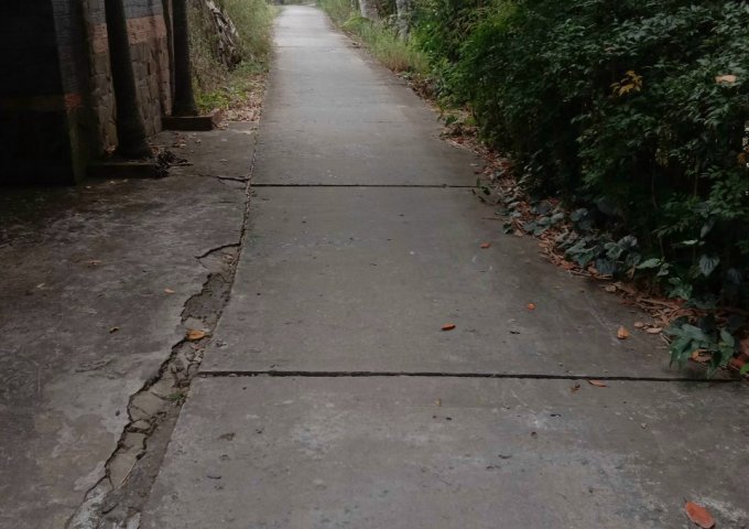 BÁN NỀN NHÀ LẤP VÒ, ĐỒNG THÁP