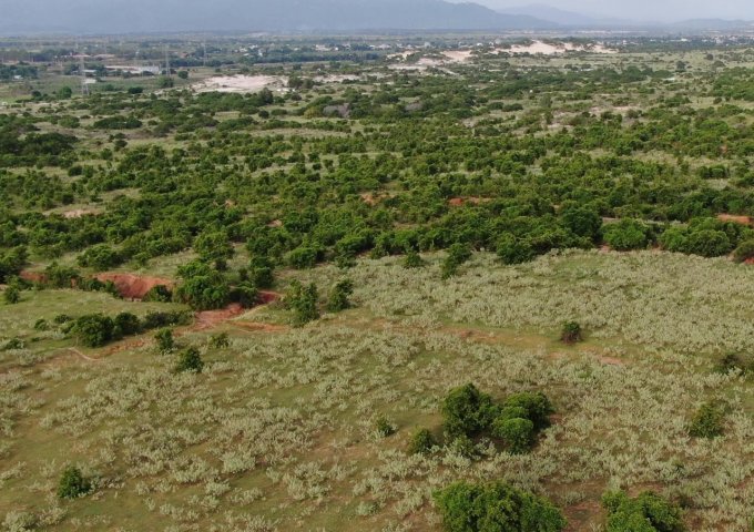 Chính Chủ Cần Bán Lô Đất Đẹp Tại Huyện Bắc Bình - Tỉnh Bình Thuận