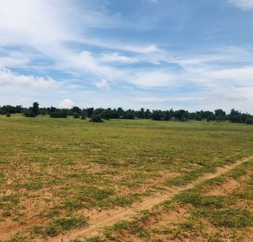 Chính Chủ Cần Bán Lô Đất Đẹp Tại Huyện Bắc Bình - Tỉnh Bình Thuận