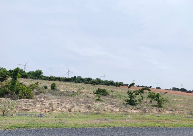 Chính Chủ Cần Bán Lô Đất Đẹp Tại Huyện Bắc Bình - Tỉnh Bình Thuận