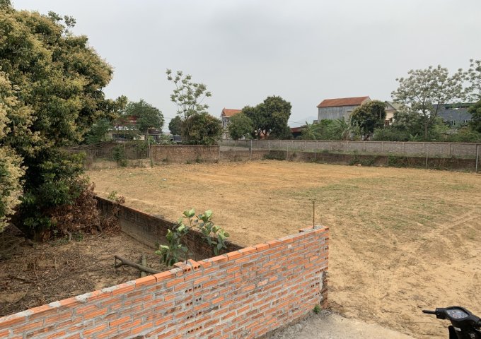 Cần Bán Mảnh Đất Đẹp Tại Thôn Thái Lai - Xã minh Trí - Huyện Sóc Sơn - Tp Hà Nội  .