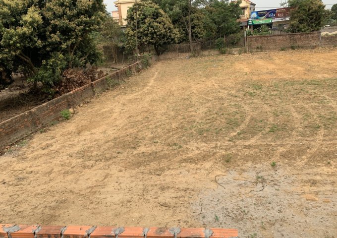 Cần Bán Mảnh Đất Đẹp Tại Thôn Thái Lai - Xã minh Trí - Huyện Sóc Sơn - Tp Hà Nội  .