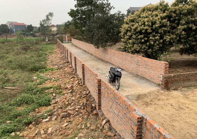 Cần Bán Mảnh Đất Đẹp Tại Thôn Thái Lai - Xã minh Trí - Huyện Sóc Sơn - Tp Hà Nội  .