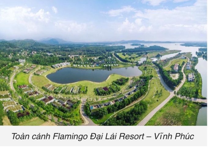 CHÍNH CHỦ CẦN BÁN BIỆT THỰ FOREST R336 FLAMINGO ĐẠI LẢI RESORT . LH : 0903425129