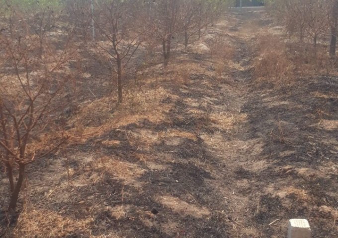 Chính chủ cần bán gấp đất vị trí đẹp ấp tân đông xã Tân hưng, huyện Tân Châu , Tây Ninh