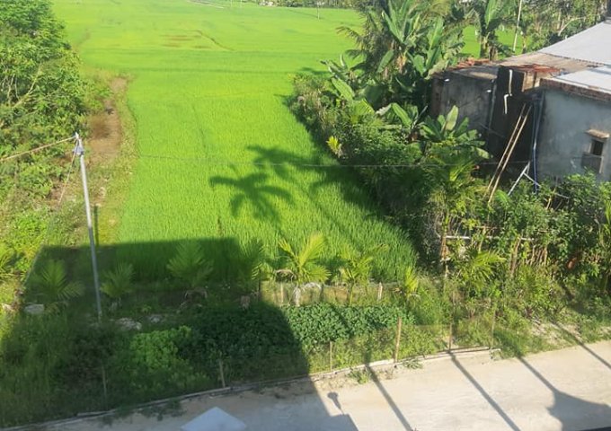 CẦN BÁN NHÀ CHÍNH CHỦ TẠI ĐIỆN AN - ĐIỆN BÀN - QUẢNG NAM.