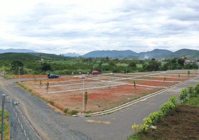 BÁN CÁC LÔ ĐẤT THỔ CƯ 100% TẠI XÃ LỘC CHÂU, TP. BẢO LỘC, TỈNH LÂM ĐỒNG