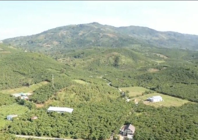 BÁN CÁC LÔ ĐẤT THỔ CƯ 100% TẠI XÃ LỘC CHÂU, TP. BẢO LỘC, TỈNH LÂM ĐỒNG