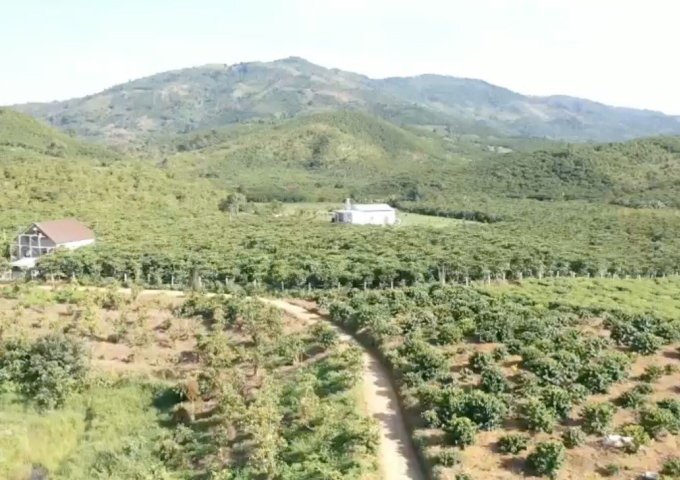 BÁN CÁC LÔ ĐẤT THỔ CƯ 100% TẠI XÃ LỘC CHÂU, TP. BẢO LỘC, TỈNH LÂM ĐỒNG