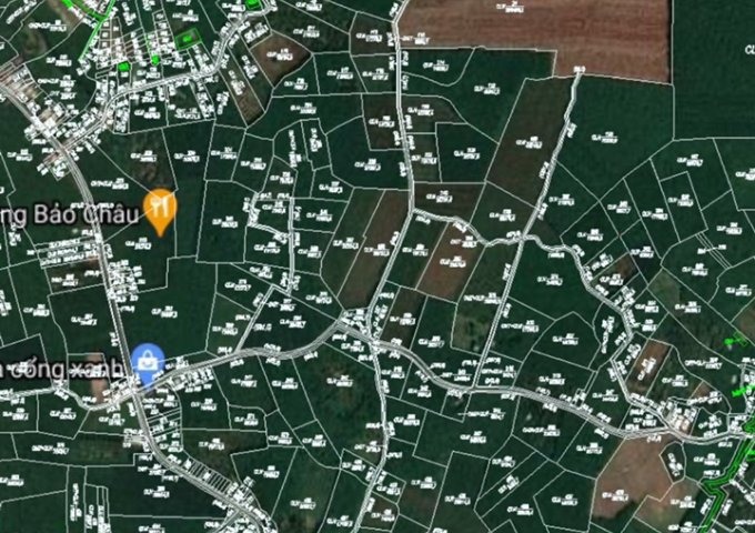 CẦN BÁN LÔ ĐẤT THỔ CƯ THUỘC QUỐC LỘ 14, XÃ TÂN THÀNH, THÀNH PHỐ ĐỒNG XOÀI, BÌNH PHƯỚC