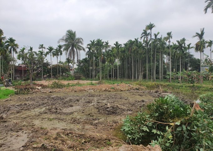 Chính chủ cần bán đất Thôn Hoàng Lâu, xã Hồng Phong, Huyện An Dương, Tp Hải Phòng