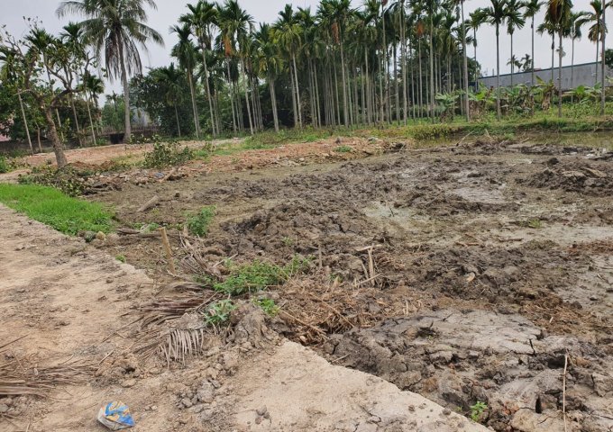 Chính chủ cần bán đất Thôn Hoàng Lâu, xã Hồng Phong, Huyện An Dương, Tp Hải Phòng