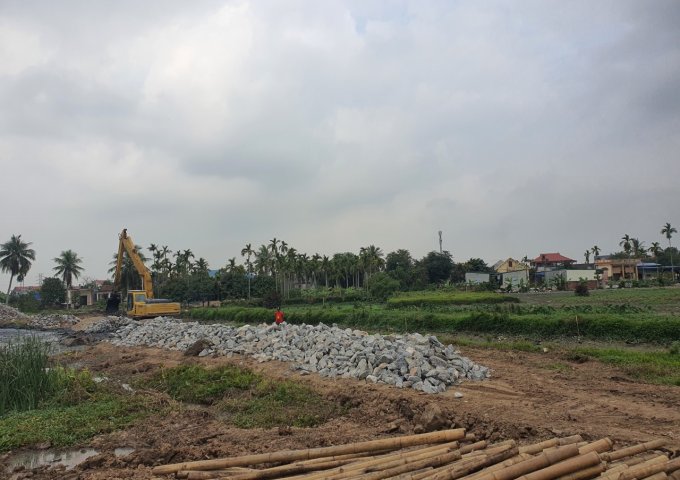 Chính chủ cần bán đất Thôn Hoàng Lâu, xã Hồng Phong, Huyện An Dương, Tp Hải Phòng