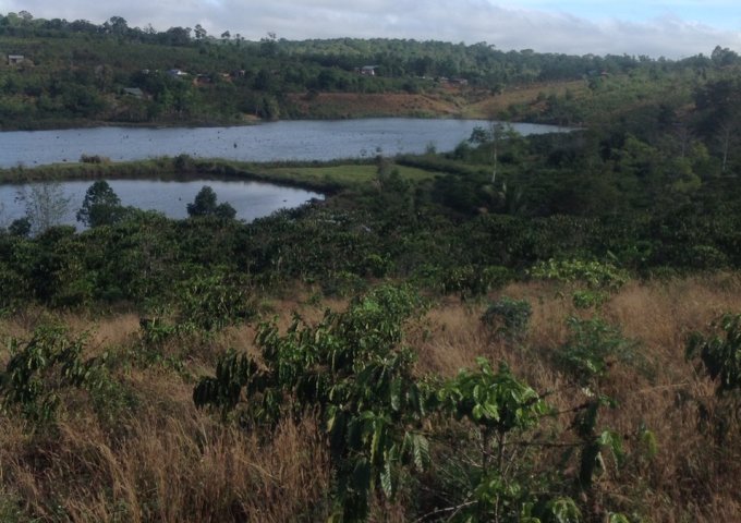 CẦN BÁN 2,8HA ĐẤT VIEW HỒ TẠI THÔN 4 – ĐẮK R’MĂNG – ĐẮK GLONG – ĐẮK NÔNG. LIÊN HỆ: 0383912987