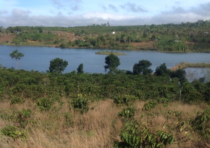 CẦN BÁN 2,8HA ĐẤT VIEW HỒ TẠI THÔN 4 – ĐẮK R’MĂNG – ĐẮK GLONG – ĐẮK NÔNG. LIÊN HỆ: 0383912987