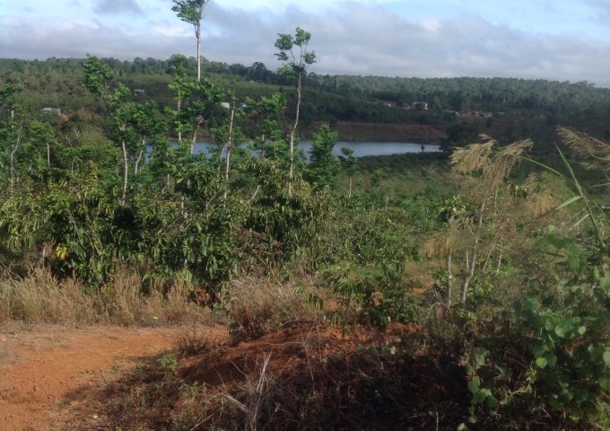 CẦN BÁN 2,8HA ĐẤT VIEW HỒ TẠI THÔN 4 – ĐẮK R’MĂNG – ĐẮK GLONG – ĐẮK NÔNG. LIÊN HỆ: 0383912987
