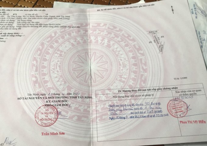 CẦN BÁN GẤP LÔ ĐẤT VỊ TRÍ ĐẸP XÃ TRÍ BÌNH , CHÂU THÀNH, TÂY NINH