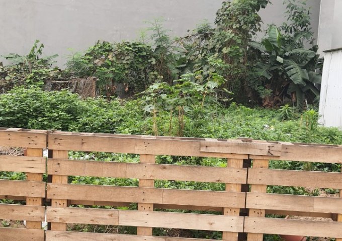 Bán đất Ngọc Thụy, 105m, MT 5.2, ô tô vào đất, ngõ thông, nhỉnh 6.45 tỷ