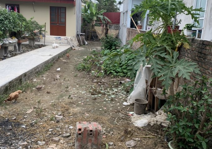 CẦN BÁN MẢNH ĐẤT VÀNG ĐƯỜNG Ô TÔ TẢI Ở THỊ TRẤN AN LÃO, HẢI PHÒNG