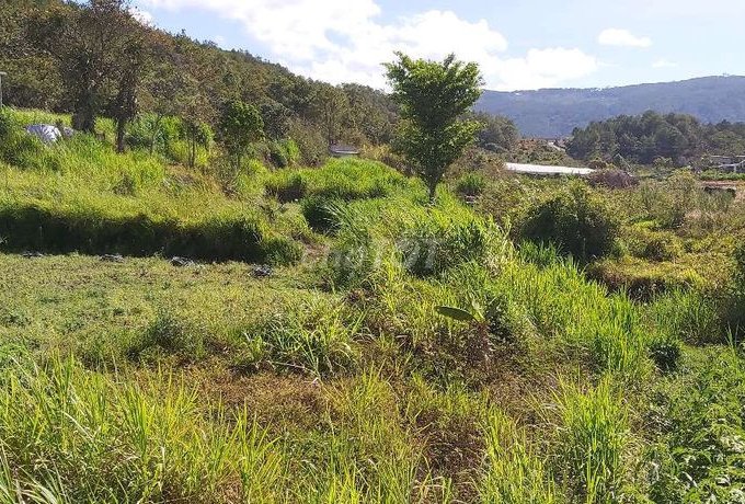 GẤP! BÁN ĐẤT 6M × 20M GẦN HỒ ĐẠ RÒN 100% THỔ CƯ - XÃ ĐẠ RÒN, ĐƠN DƯƠNG, LÂM ĐỒNG. LHCC: 0982938009