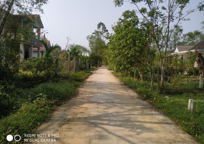 CẦN BÁN LÔ ĐẤT PHÂN LÔ KIỆT 61 NGUYỄN VĂN CHÍNH. THỦY PHƯƠNG.